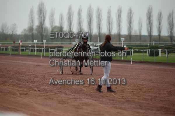 ET0Q0475 prot